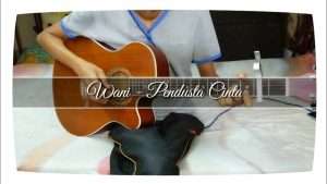 WÀNI - Pendusta Cinta | Fingerstyle cover | Guitar cover | Faiz Fezz Видео
