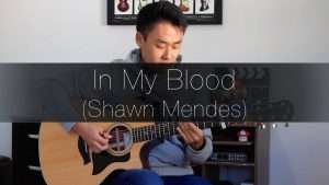 (Shawn Mendes) In My Blood - Rodrigo Yukio (Fingerstyle Guitar Cover) Видео