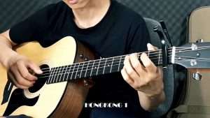 HongKong 1 | Guitar Fingerstyle Solo Cover | Nguyễn Trọng Tài | Demo Видео